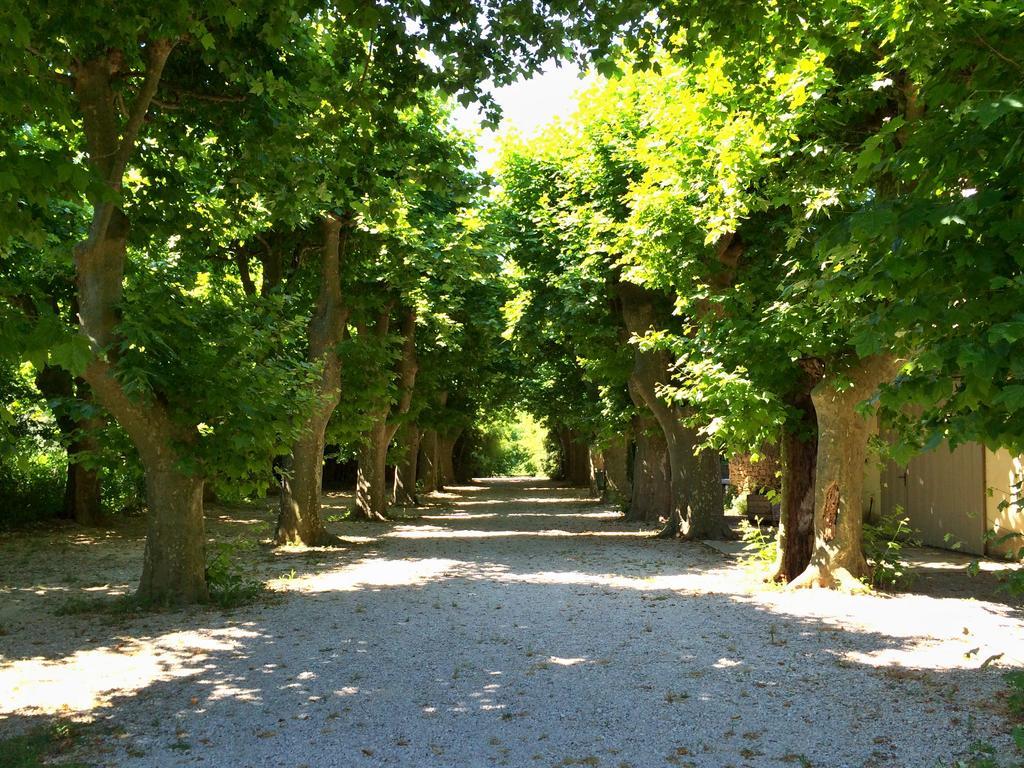 Château de la Merletade Apartamento Cheval-Blanc Exterior foto