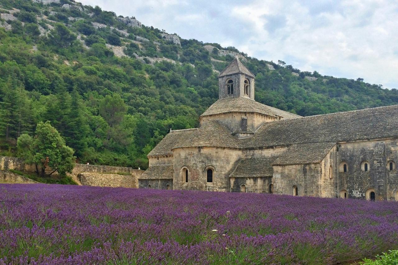 Château de la Merletade Apartamento Cheval-Blanc Exterior foto